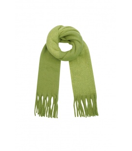 Groene wintersjaal met franjes Warm, stijlvol en trendy